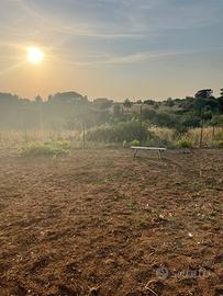 Terreno agricolo