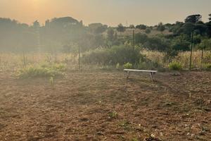 Terreno agricolo