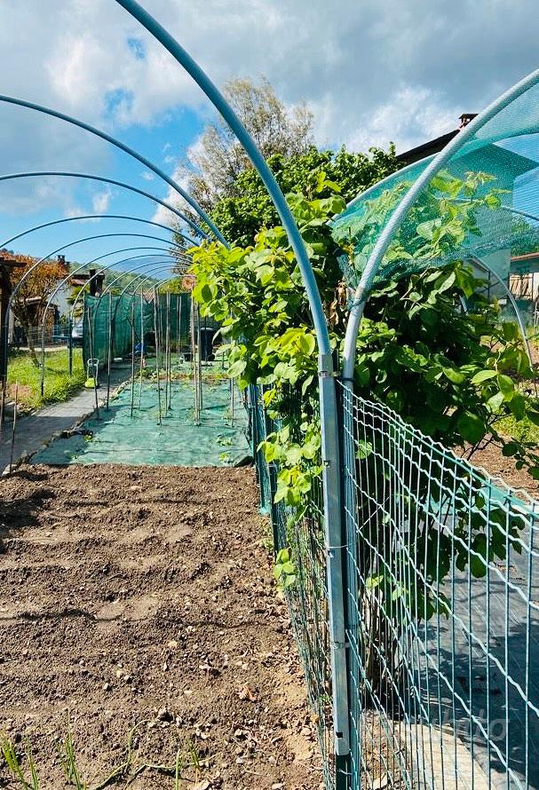 Staffe centina tubi antigrandine serra orto - Giardino e Fai da te In  vendita a Biella