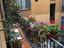 Immagine 7