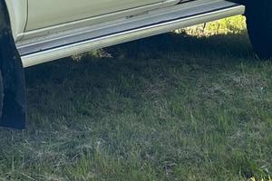 Pedane sottoporta pick up