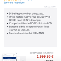 Bici elettrica 
