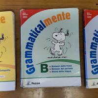 GRAMMATICALMENTE A,B,C Scuola Media