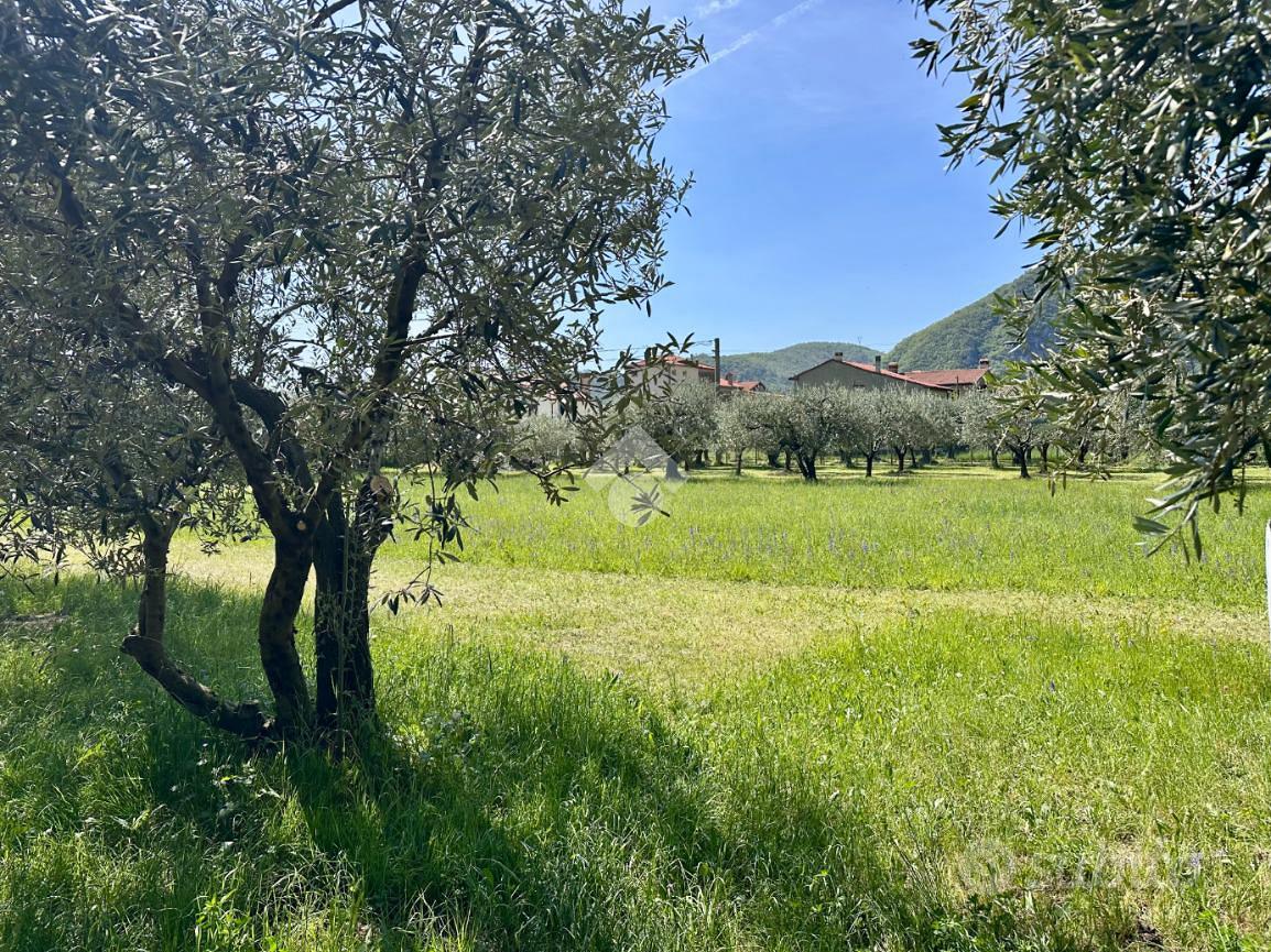 TER. RESIDENZIALE A POVE DEL GRAPPA - Vista 2