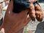Immagine 5