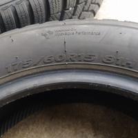 Gomme invernati micra