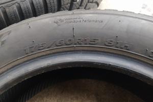 Gomme invernati micra