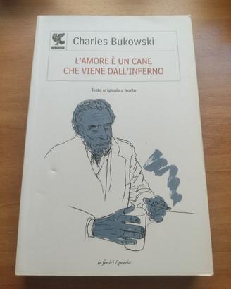 L'amore è un cane che viene dall'inferno 