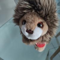 Peluche " TRUDI " leoncino . (originale)