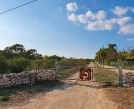 Terreno agricolo