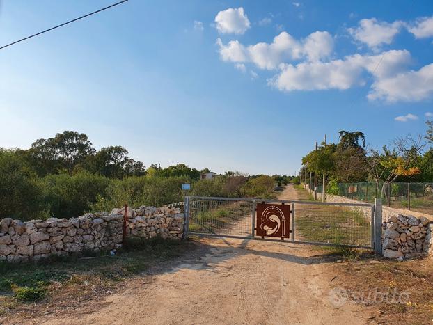 Terreno agricolo