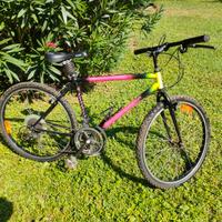 Mountain bike ruote 26"