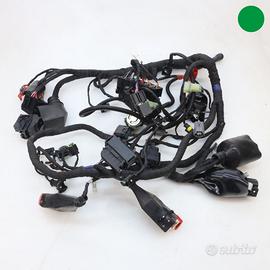 Impianto elettrico MOTO MORINI X-Cape 650