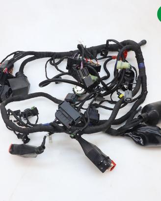 Impianto elettrico MOTO MORINI X-Cape 650