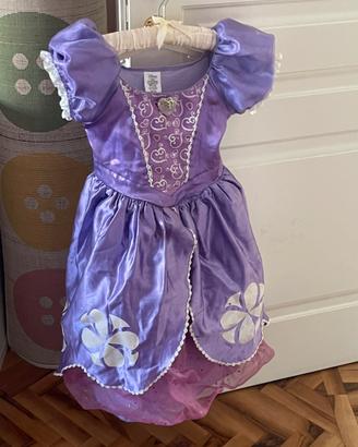 Vestiti  carnevale