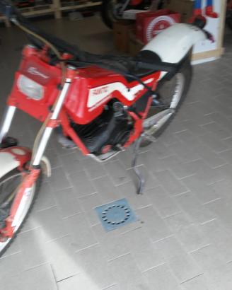 Fantic Motor Altro modello - 1986