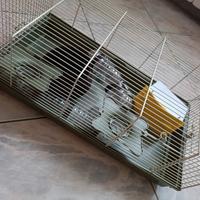 gabbia  per criceto 