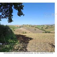 Terreno Agricolo Montefalco [A4331619]