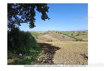 Terreno Agricolo Montefalco [A4331619]