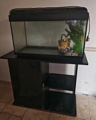 acquario 