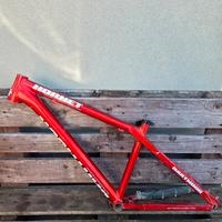 telaio Dartmoor hornet 