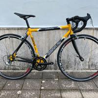 Bici da corsa Dynatek Carbon Plus + Campagnolo