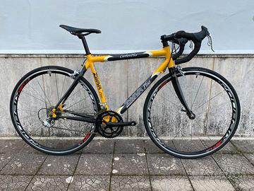 Bici da corsa Dynatek Carbon Plus + Campagnolo