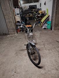 e bike 