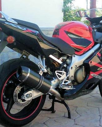 Special Carbon Honda CBR 600 F 1999-2000