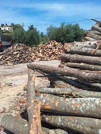 legna da ardere 