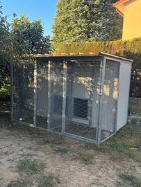 box per cani 