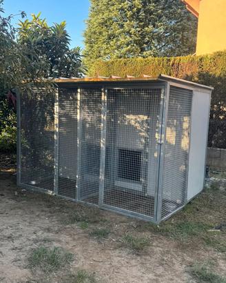 box per cani 