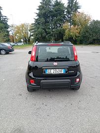 panda ibrida del 2021