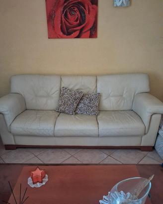divani 2 e 3 posti in pelle seminuovi