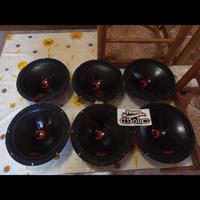 woofer diabolico da 25 appena riconate 