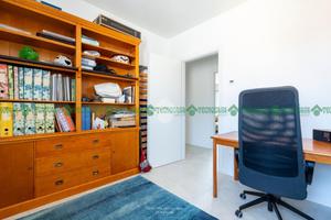 5 LOCALI A SAN CESARIO SUL PANARO