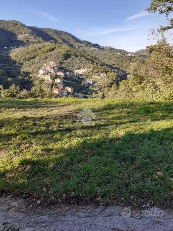 TERRENO A CASARZA LIGURE