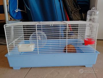 gabbia per criceto 