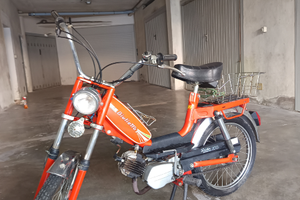 Giulietta Peripoli Pointer KS 1958-1960