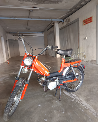 Giulietta Peripoli Pointer KS 1958-1960