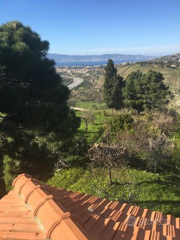 Appartamenti con proprio giardino di pertinenza