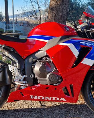 HONDA CBR 600 RR 2026