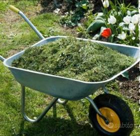 Manutenzione spazi verdi fermano maceratese