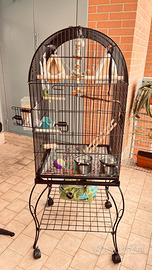 Gabbia per uccelli pappagalli