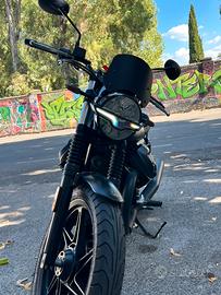 V7 stone 2021
