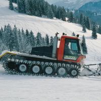 Gatto delle nevi