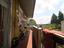 Immagine 11