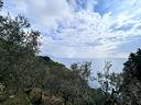 rustico-a-massa-lubrense
