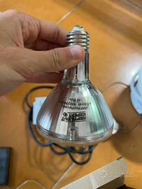 Lampada reptile expert 50watt