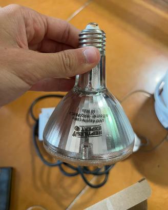 Lampada reptile expert 50watt